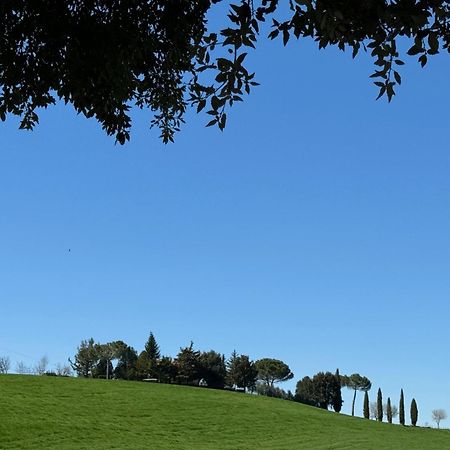 Orvieto Country House Castiglione In Teverina Exterior foto