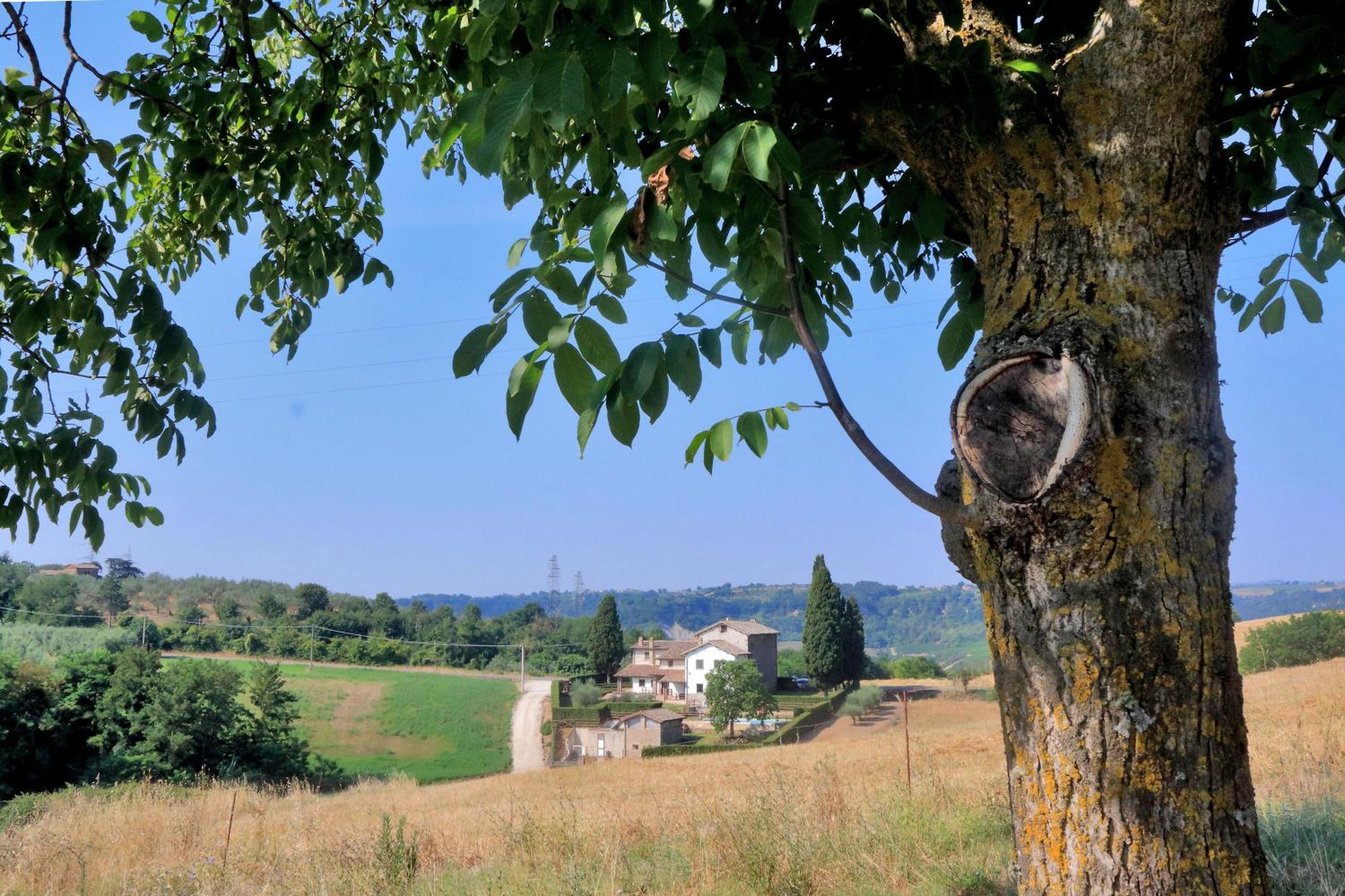 Orvieto Country House Castiglione In Teverina Exterior foto
